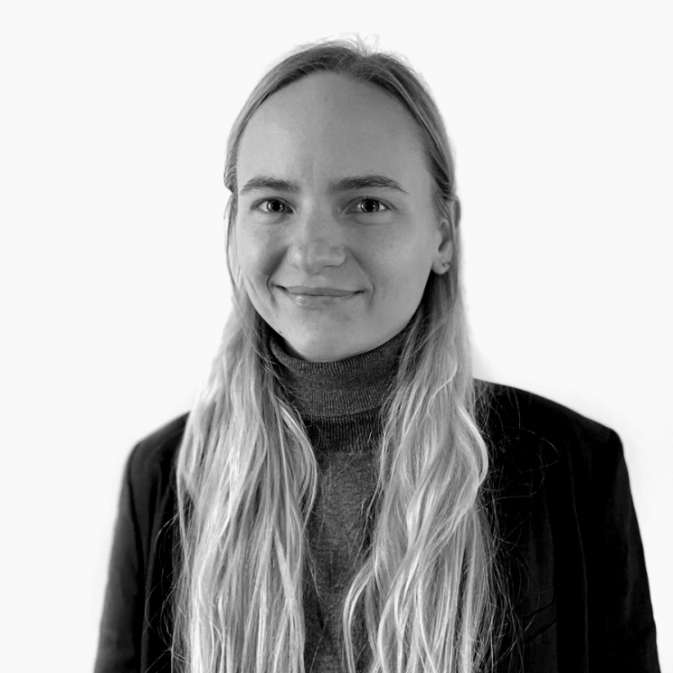 Bildbeschreibungstext